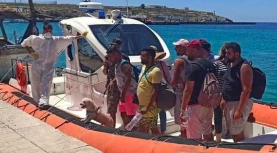 Sbarchi a Lampedusa: un cane e un gatto